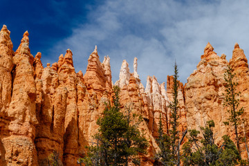 Naklejka premium Hoodoos viewed from the valley floor form a colorful canyon wall along the Navajo Trail in Bryce Canyon National Park, Utah. 