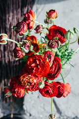 Bouquet of red ranunculus flowers on a rustic background. Close up