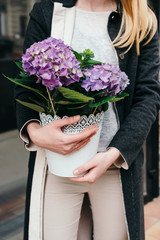 Beautiful purple hydrangea flowers in hands. Flower delivery concept