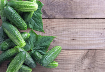 Fresh cucumbers with leaves on old wooden table view to top with copy space