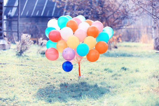 many colorful balloons nature landscape