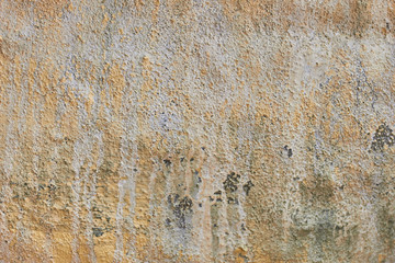 Stone texture