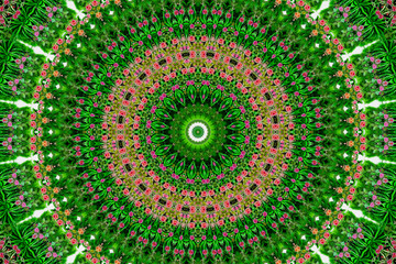abstract oil painting roses flower background, kaleidoscope style