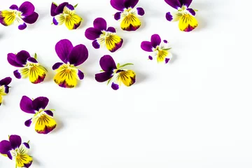 Papier Peint photo Pansies Floral frame with violet flowers on white background