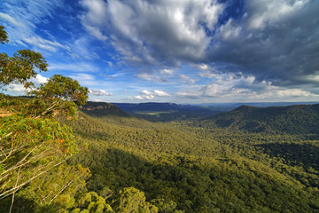 Mitchell's Ridge Lookout, Mount Victoria, Blue Mountains, Australia.