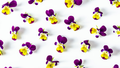 Pansy flowers, pattern of summer wildflowers on white background, overhead