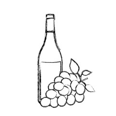 monochrome sketch silhouette with bottle of wine and bunch of grapes vector illustration