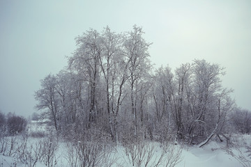 Winter landscape in Russia