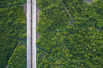 Road in the green mangrove forest in Phuket, Thailand. Aerial view from flying drone