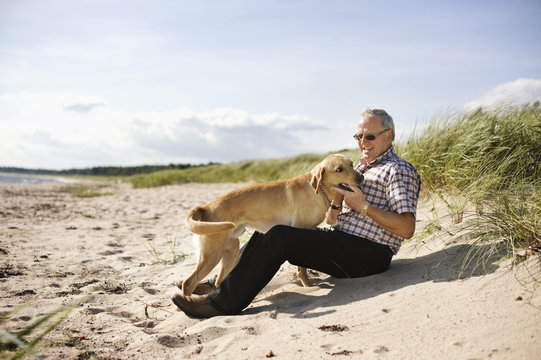 Cheerful senior man playing with dog at beach on sunny day