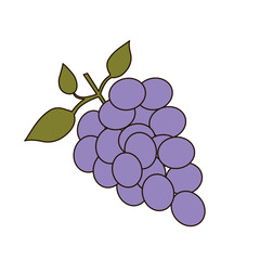 light coloured silhouette of bunch of grapes vector illustration