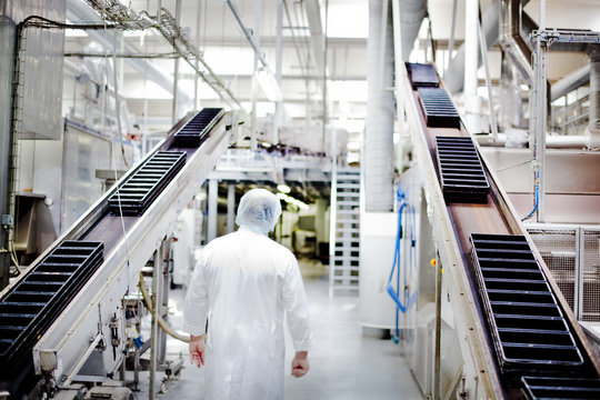 Rear view of expert standing in factory