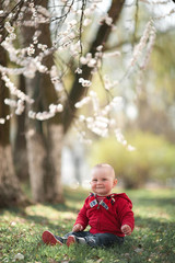 Baby in blooming apricot garden.