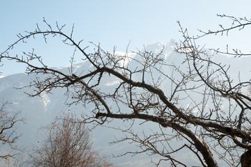 Beudon