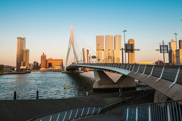 Erasmus bridge Rotterdam
