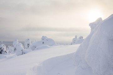 Fototapeta na wymiar Winter in Lappland