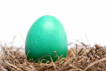 traditional egg painted in green color inside nest