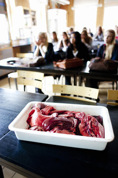 Human organs in container on desk with students at classroom