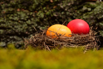 colorful eggs inside small nest. Happy Easter concept