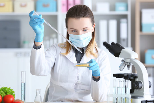 Young female nutritionist testing food samples in laboratory