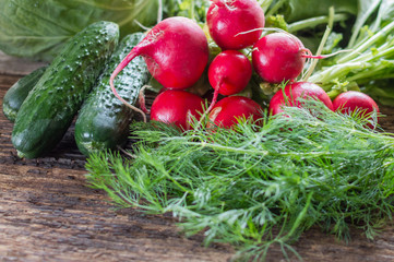 Fresh vegetables, cucumber, radish, onion and dill on a wooden background