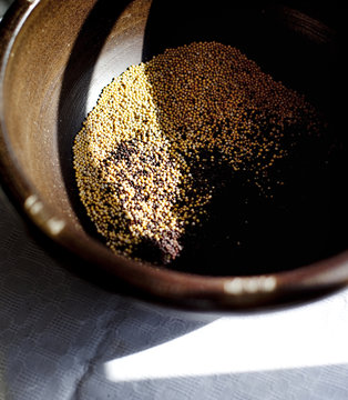 High angle view of mustard seeds in container