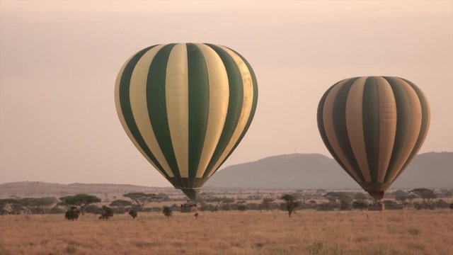 AERIAL, CLOSE UP: Pilots steering safari hot air balloons full of excited tourists. People on dreamy journey sightseeing and enjoying the view of stunning Serengeti scenery at rose-pink light of dawn