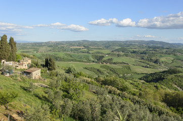 Fototapeta na wymiar Colline toscane viste da Toiano
