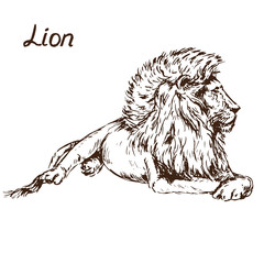 Obraz na płótnie Canvas Lion lying portrait, hand drawn doodle, sketch in pop art style, vector illustration