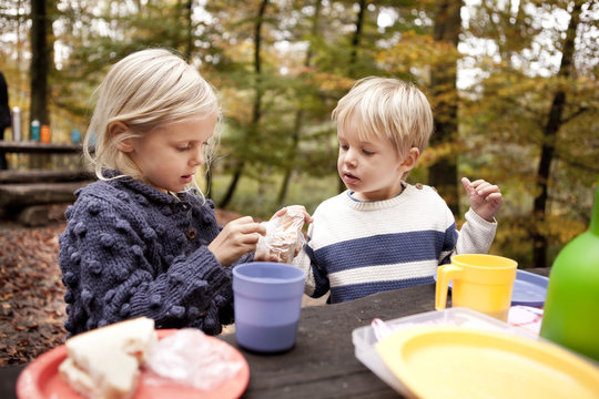 Children eating at picnic table