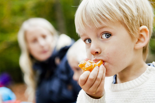 Portrait of cute boy eating orange in forest