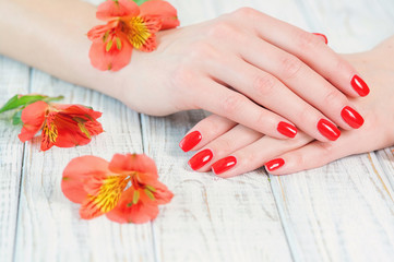 Obraz na płótnie Canvas Woman hands with beautiful red manicure and exotic flowers, skin care concept