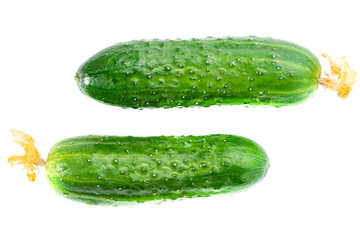 Two green cucumbers isolated