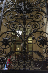 Fototapeta na wymiar Wrought iron door in a building in Rome, Italy