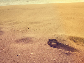 Closeup on foot print on sandy surface beach texture background. Summer travel, copy space concept