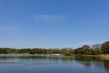 春の昭和記念公園