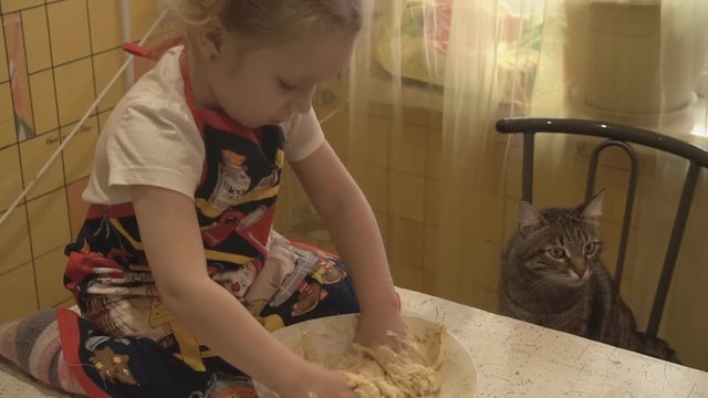 Beautiful girl in the kitchen knead the dough with your hands, followed cat