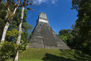 Fototapeta na wymiar Pyramid in the ancient Maya City of Tikal in Guatemala, Central America