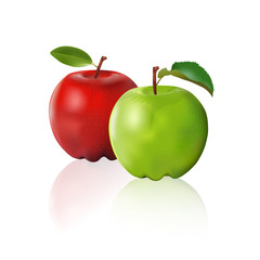 Green apple and red apple isolated on white background
