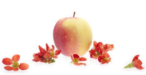 Czerwone jabłko - kompozycja z kwiatami 
