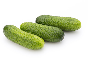 The first spring ecologically cucumbers.