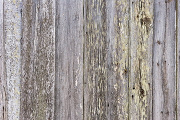 The old wood texture with natural patterns