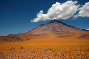 Fototapeta na wymiar Atacama Desert, Chile