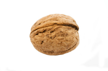 Walnut on white background, isolated