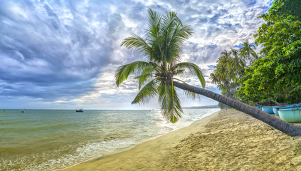 Tropical beach with coconut palm. This is the appropriate place for weekend vacation with family
Paradise beach