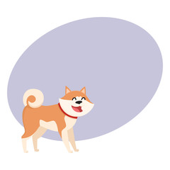 Cute smiling Akita Inu dog character, cartoon vector illustration with space for text. Nice and friendly purebred Japanese Akita dog character, colorful cartoon illustration