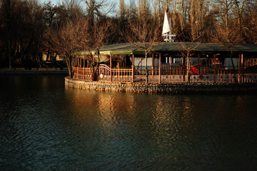 Fototapeta premium Beautiful park