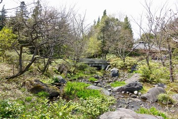 Naklejka na ściany i meble 昭和記念公園の日本庭園