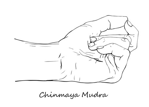 Chinmaya Mudra. Hand drawn illustration of ritual yoga hand gesture.