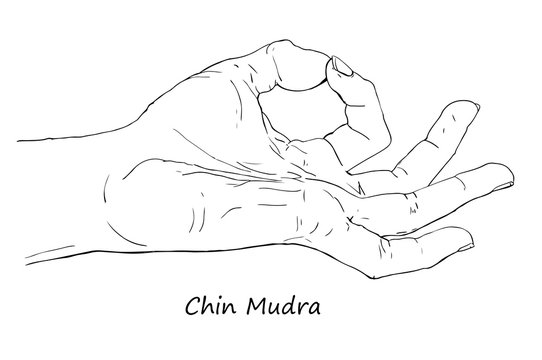 Chin or Gyan Mudra. Hand drawn illustration of ritual yoga hand gesture.
